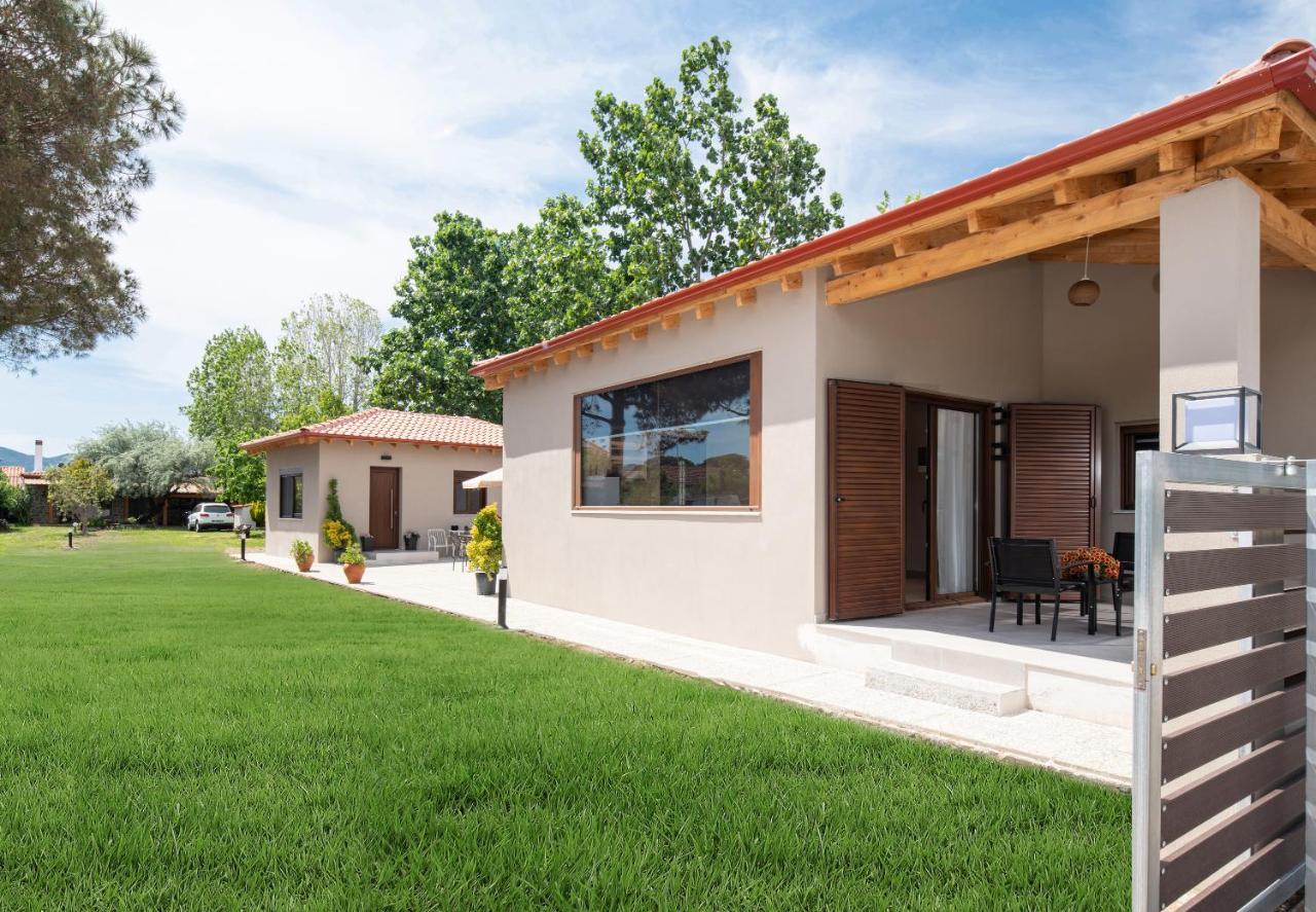 Athos View - Golden Fig Sykia Lodge Paralia Sikias Ngoại thất bức ảnh